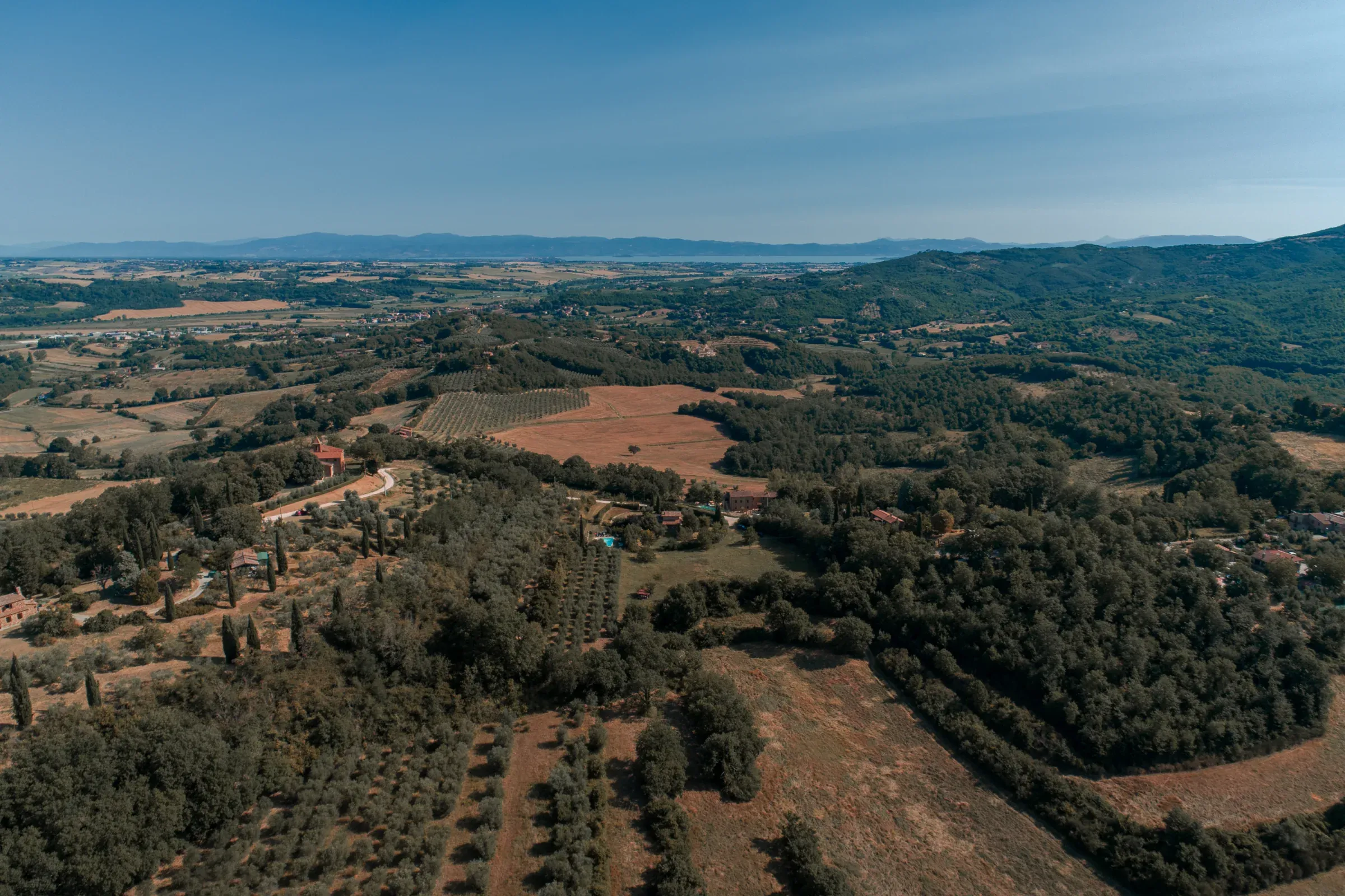 Hills and olive groves around the villa